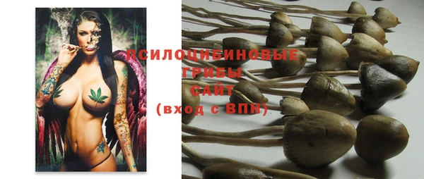 mdpv Заволжье